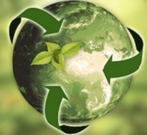 Caff&egrave; Arabica e sostenibilit&agrave;